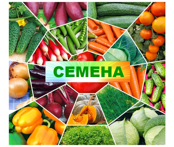 Семена в ассортименте (просрочено) БП УЦЕНКА