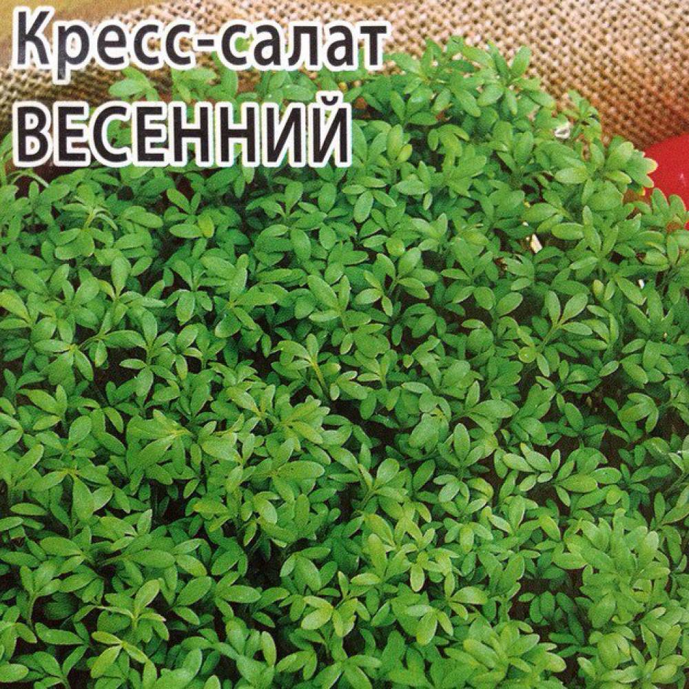 Салат кресс Весенний гр Гавриш/бп