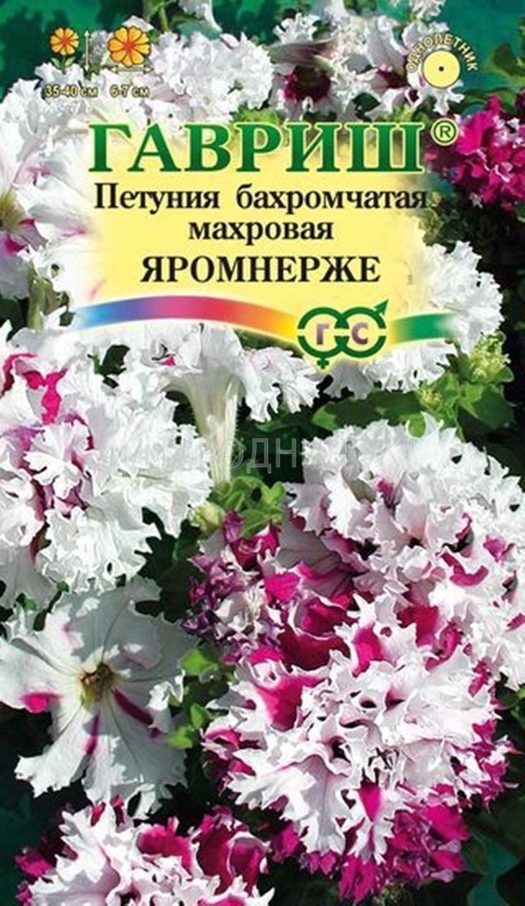 Петуния бахр Яромнерже 10шт Гавриш/цв