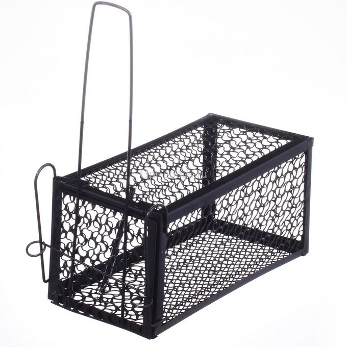 Крысоловка-клетка большая