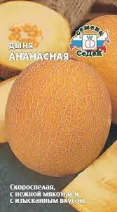 Дыня Ананасная 0,5гр Седек/бп