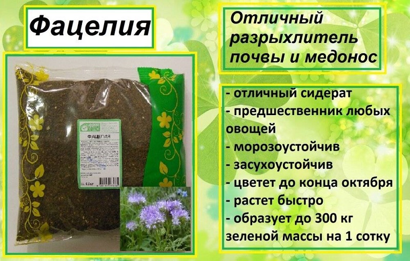 Сидерат Фацелия 1кг ЗУ