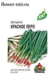 Лук на зелень Красное Перо 0,5гр Гавриш/бп
