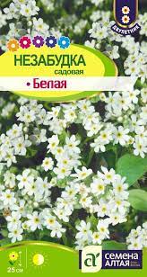Незабудка Белая садовая 0,1гр СА/цв