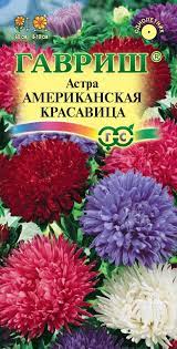 Астра Американская Красавица 0,3г Гавриш/цв