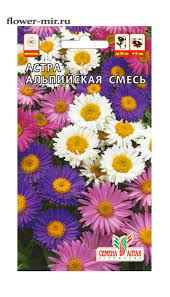 Астра Альпийская смесь 0,05г СА/цв