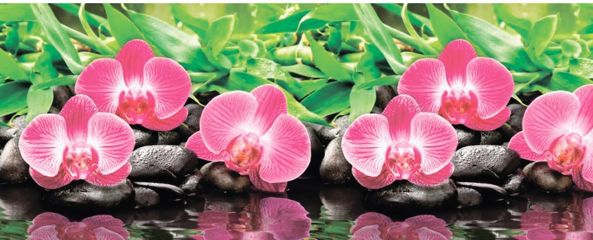 Фартук 3000х600мм Орхидея