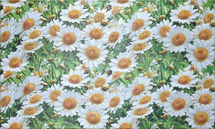 Фартук-панно 1000х600мм Ромашки