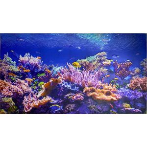 Фартук-панно 1000х600мм Коралловый риф
