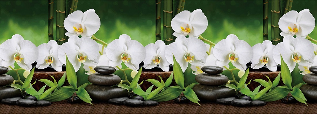Фартук 3000х600мм Белая орхидея