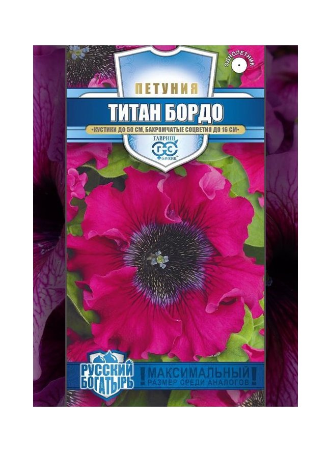 Петуния бахр Титан Бордо 7шт Гавриш/цв