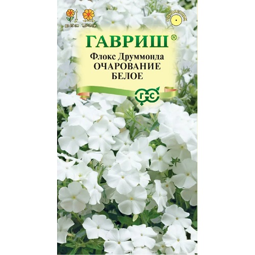 Флокс друммонда Очарование белое 0,05г Гавриш/цв
