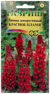 Люпин Рассела Красное Пламя 0,5гр Гавриш/цв