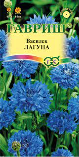 Василёк Лагуна 0,2гр Гавриш/цв