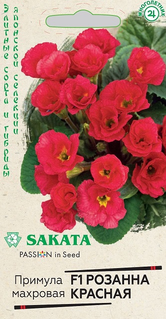 Примула Розанна красная F1 4шт Гавриш/цв